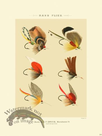 Favorite Flies 24 Bass